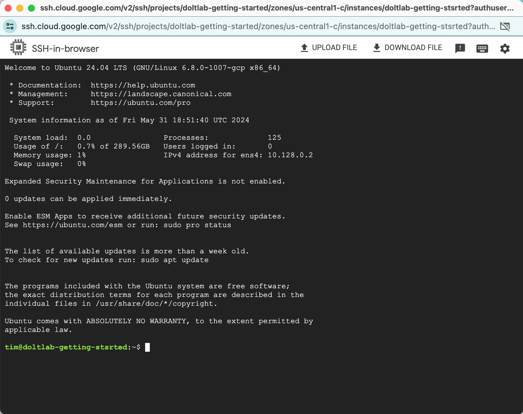 SSH Window